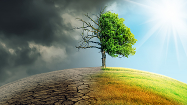 Rising to the climate challenge: integrating climate action in the undergraduate curriculum
