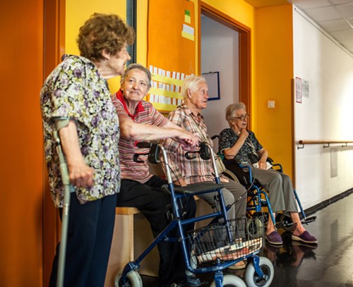 National Aged Care Survey 2019 - Community Member Companion Report
