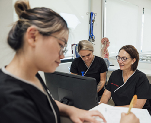 National Nursing Workforce Strategy