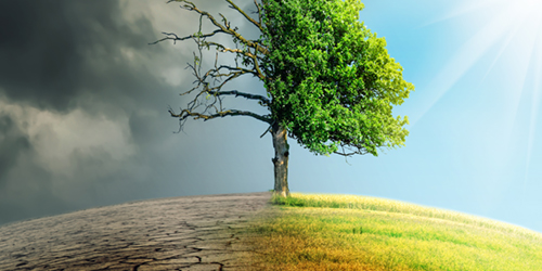 Climate Change
